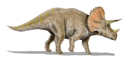 Hogyan készítsünk egy dinoszaurusz ki gyurma és a Tyrannosaurus rex szakaszokban