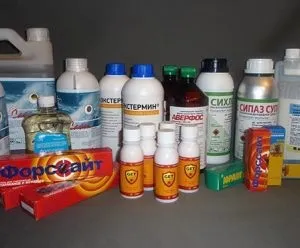 Як і чим вивести клопів в квартирі назавжди - способи, засоби, препарати (квартирі) Як і чим вивести клопів в квартирі назавжди - способи, засоби, препарати