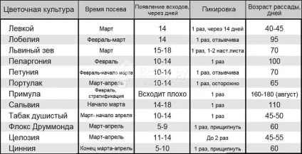 Які квіти можна посіяти на розсаду в лютому, терміни висадки в грунт (квіти) Які квіти можна посіяти на розсаду в лютому, терміни висадки в грунт