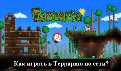 Як грати в террарію по мережі, террарія (terraria) (terraria) Як грати в террарію по мережі, террарія (terraria)