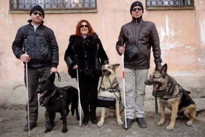 Як це працює