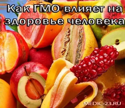 Як гмо впливає на здоров'я людини що таке ГМО, які захворювання викликає, як убезпечити себе