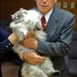 Кот світ - кототека - найцікавіше про світ кішок (світі) Кот світ - кототека - найцікавіше про світ кішок