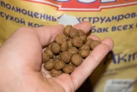 Корм для собак фаворит відгуки ветеринарів і огляд склад корму (огляд) Корм для собак фаворит відгуки ветеринарів і огляд склад корму