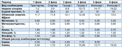 годування птиці