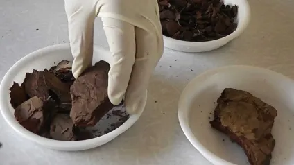 Кора для орхідей підготовка субстрату для квітів своїми руками