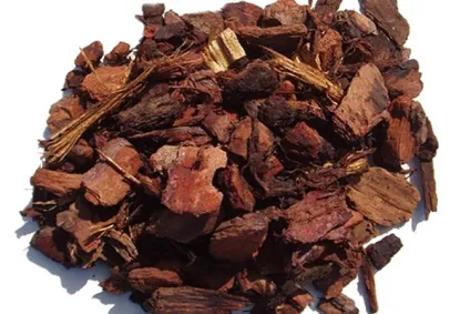 Кора для орхідей своїми руками як підготувати кору сосни самостійно (руками) Кора для орхідей своїми руками як підготувати кору сосни самостійно