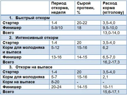 годування птиці