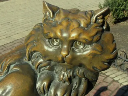 Кот Пантелеймон, куди піти, що подивитися, де відпочити в киеве (Пантелеймон) Кот Пантелеймон, куди піти, що подивитися, де відпочити в киеве