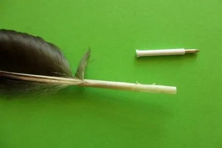 Як зробити кулькову ручку з пір'я птиці