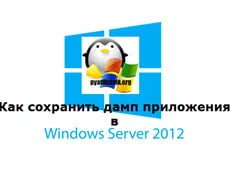 Cum de a salva un depozit de aplicații în server Windows 2012 R2, setarea ferestre și servere Linux