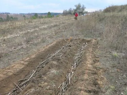 Как да направите топло легло на Rozum 12 стъпки