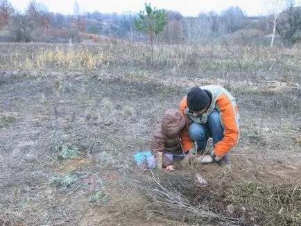 Hogyan készítsünk egy meleg ágyat Rozum 12 lépésben