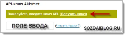 Как да премахнете спам, спам защита, как да се отървете от спама в WordPress