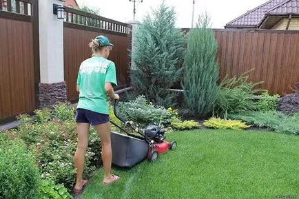 Hogyan törődik a fűnyírás a nyáron, öntözés, műtrágya