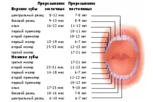 Hogy van a baba tejfogak protézisek