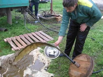 Hogy van a tisztító kutak