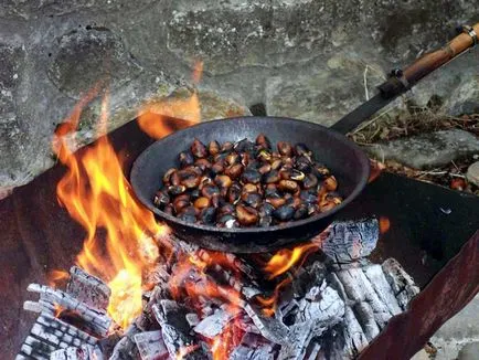 Hogyan sült gesztenye otthon - 4 fő módja a pörkölés gesztenyét érdekes receptet őket