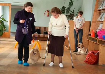 Canistherapy az idősek, hogyan válasszuk ki a kutya terápia