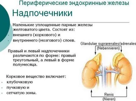 Climax налягане и как да се справят с удари и хипертония