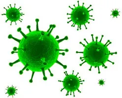 Enterita coronavirus, coronavirus la câini - cauze, simptome, tratament, si