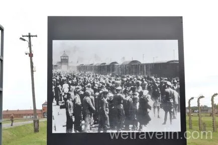 Auschwitz (Auschwitz)