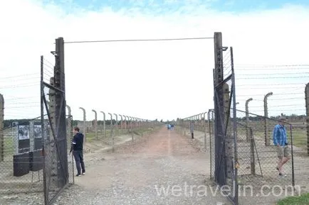 Auschwitz (Auschwitz)
