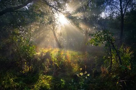 Iluminare din spate în fotografie peisaj 1