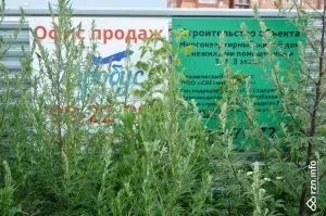 Дах - небо блакитне