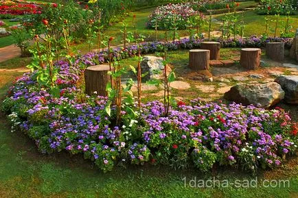 Gyönyörű kert fotó - trükkök a táj design saját nyaraló, az ötleteim a kert és a kert