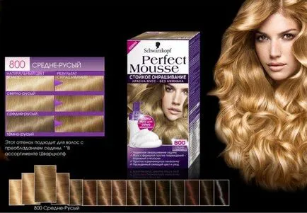 Dye spuma de par Schwarzkopf paleta mousse perfectă, comentarii