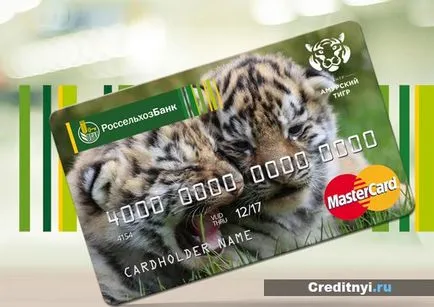 Card de credit Banca Agricolă - Tipuri, condiții, execuție