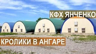 Заек мини-ферма със собствените си ръце акценти