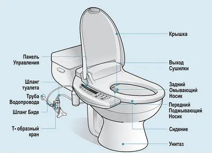 Fedjük le és konzolok bidé WC áttekintést modellek