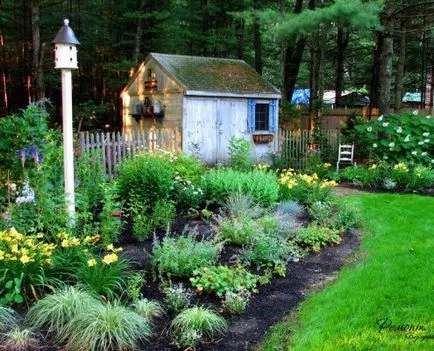 Daylilies într-o frumoasă idei de design peisaj pentru curtea ta