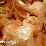 Onion Onion за хранене и поене, давайки