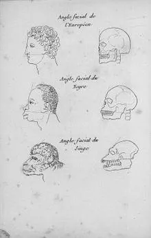 Unghiul facial - l