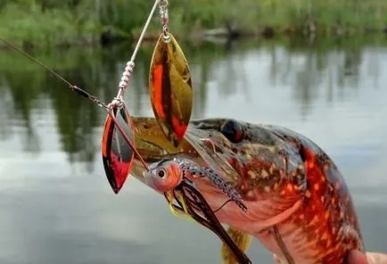 de pescuit Pike pe tehnica spinerbaits de pescuit, cel mai bun spinnerbejty