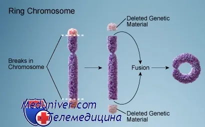 Marker и пръстеновидни хромозоми