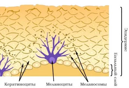 Masca faciala de pigment pete înălbitor