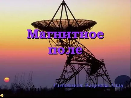 Магнитното поле - представянето на доклада, проектът