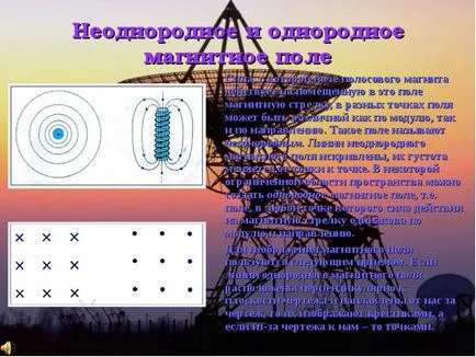 Магнитното поле - представянето на доклада, проектът