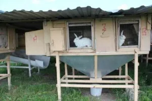 Мини ферма Михайлова за зайци - чертежи и дизайн