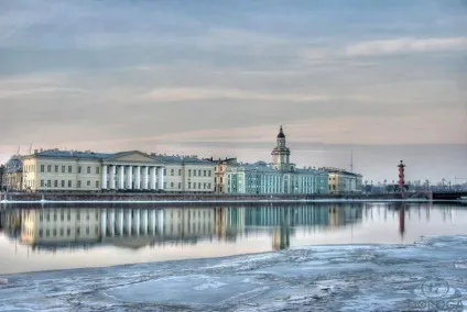Кунсткамера в Харкові