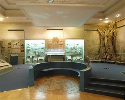 Natural History Museum Tatár leírás és képek