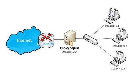 Setarea serverului proxy calmar pentru incepatori