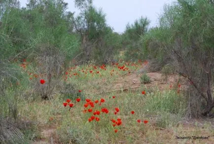 Societatea noastră și biodiversitatea