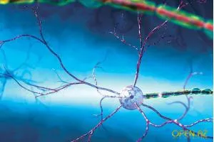Нервните клетки да се регенерират! Дмитрий Панкратов, Дмитри Панкратов
