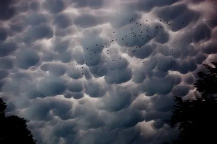 Cloud Ангел - феноменът на над