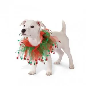 haine de câine - costume pentru câini
